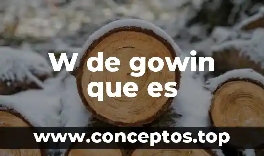 W de gowin que es