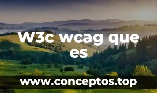 W3c wcag que es