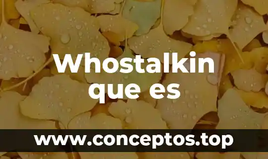 Whostalkin que es