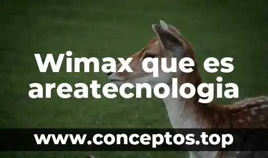 Wimax que es areatecnologia