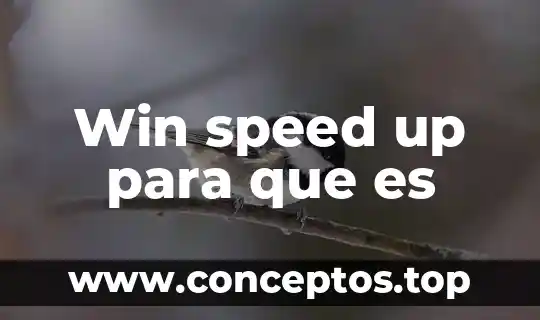 Win speed up para que es
