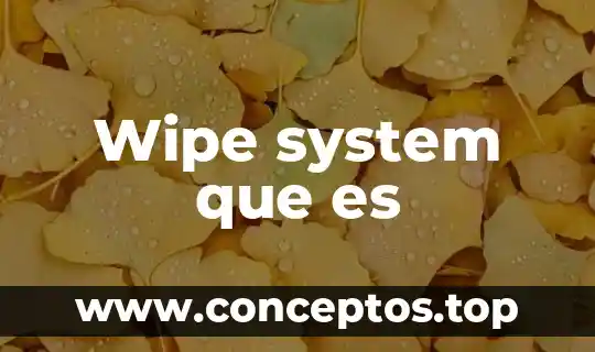 Wipe system que es