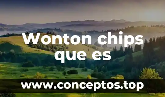 Que es la bandera de la humanidad 7 Wonton chips que es