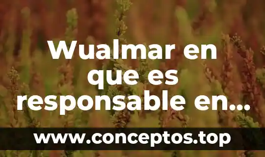 Que es una sociedad con clausula de exclusion de extranjeros 6 Wualmar en que es responsable en la sociedad