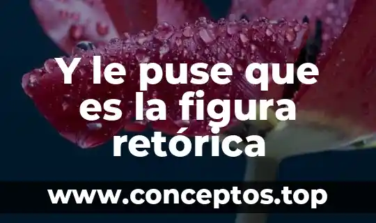 Y le puse que es la figura retórica