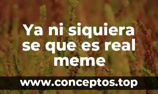 Ya ni siquiera se que es real meme