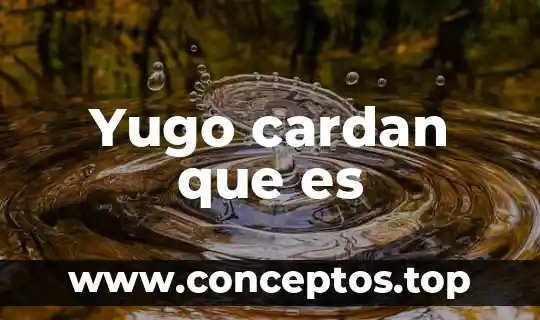 Yugo cardan que es