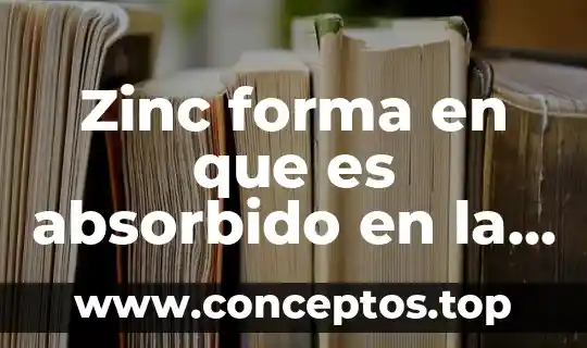 Zinc forma en que es absorbido en la planta