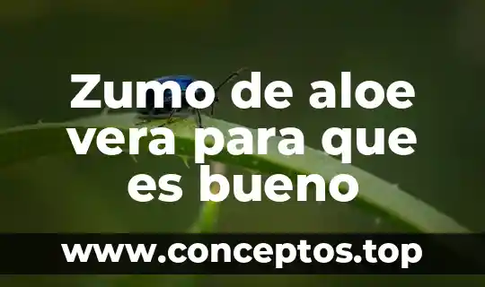 Zumo de aloe vera para que es bueno
